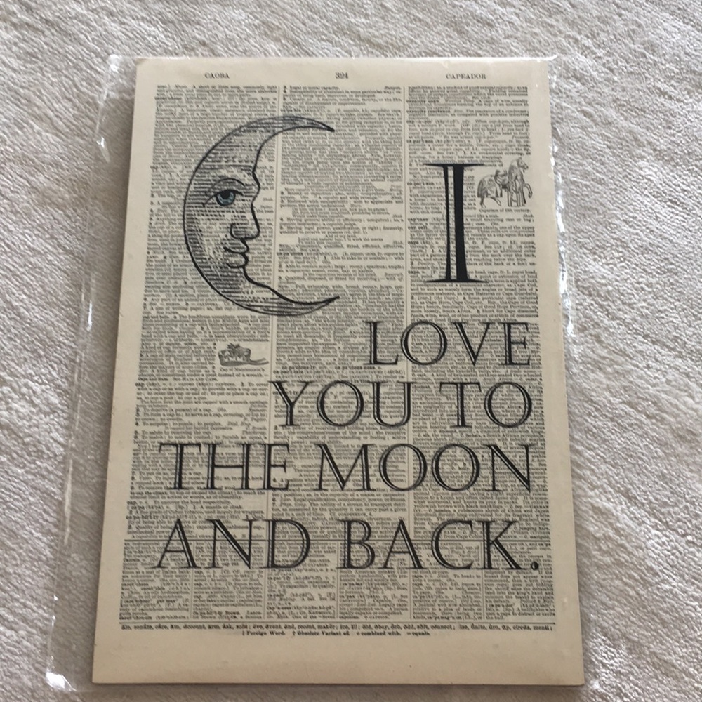 NWT Vintage Dictionary Art